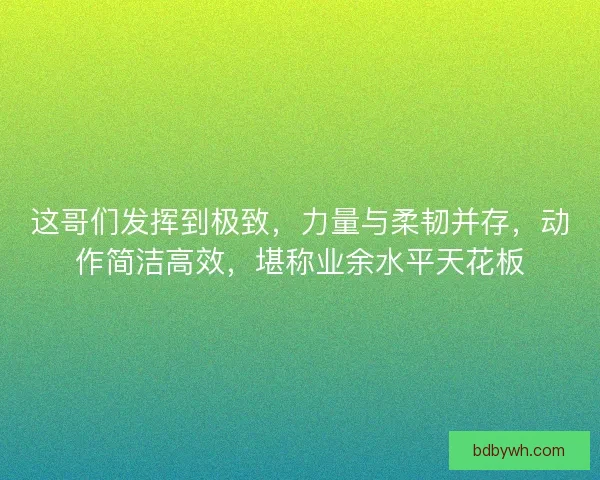 这哥们发挥到极致，力量与柔韧并存，动作简洁高效，堪称业余水平天花板