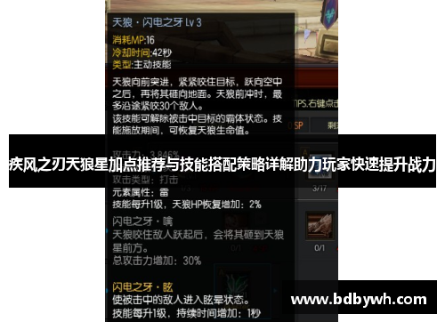 疾风之刃天狼星加点推荐与技能搭配策略详解助力玩家快速提升战力